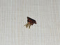 Connector 4 Pins Gold-Plated for Decca London Black/Grey/Gold Custom-Made0