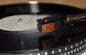 Custom-Made Closed Carpathian Elm Wood Body for DENON DL 103 Series Cartridge