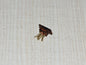 4 Pins Custom-Made Cocobolo Wood Connector for Decca London Black / Blue / Grey / Maroon / Gold / Super Gold